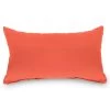 Canvas Melon Sunbrella Outdoor Throw Pillow -Boutique Hammock Shop bsqmlr xx