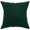 Canvas Forest Green Sunbrella Designer Porch Pillow 1 Canvas Forest Green Sunbrella Designer Porch Pillow -Boutique Hammock Shop canvas forest sunbrella designer porch pillow pi bsqfg xx